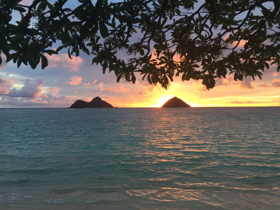 Sunrise view under the tree in the backyard