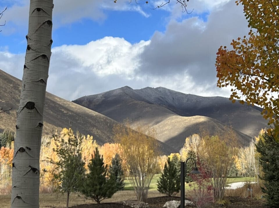 Fall view from deck