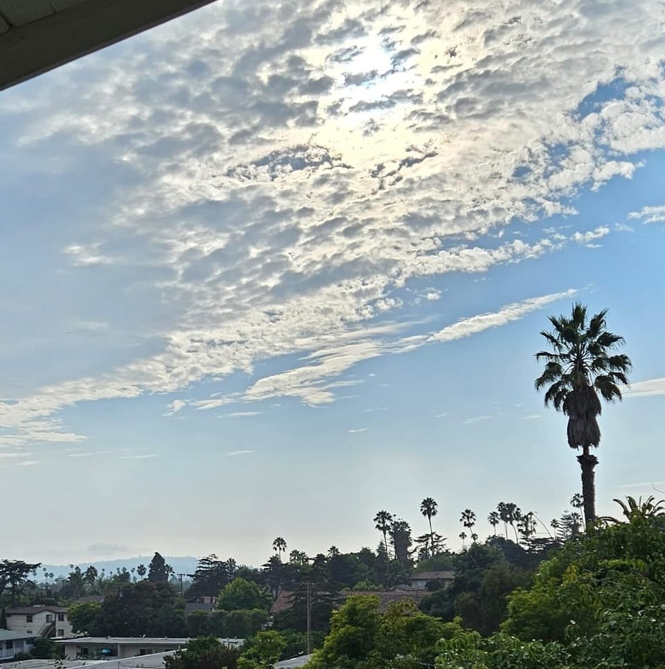 View from property