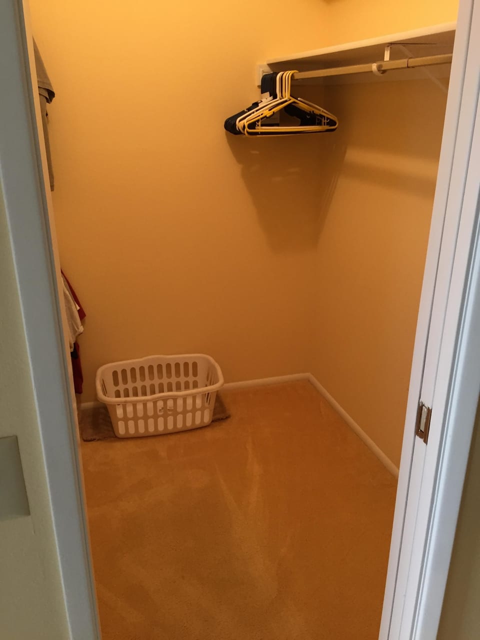 Master BR walk in closet