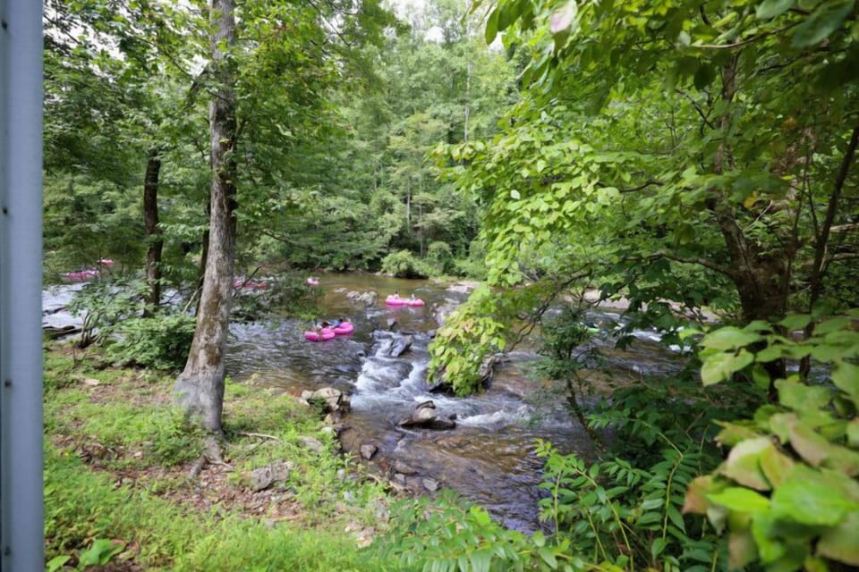 A view from Rivers Rest