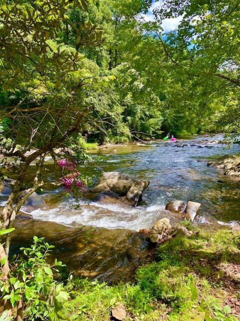 River in front of condo II - Enjoy the sounds of the shoals right outside you door