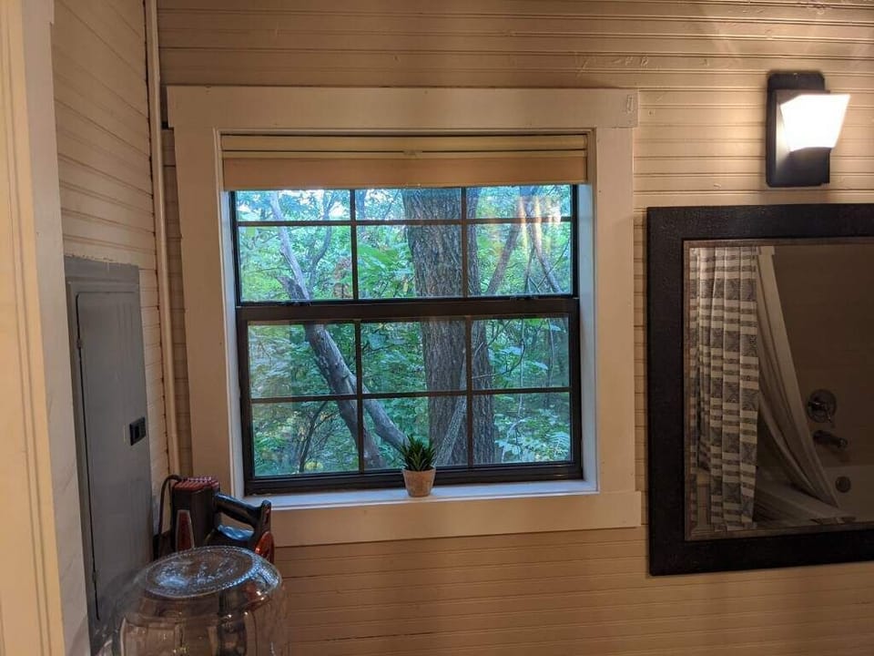 Bathroom window