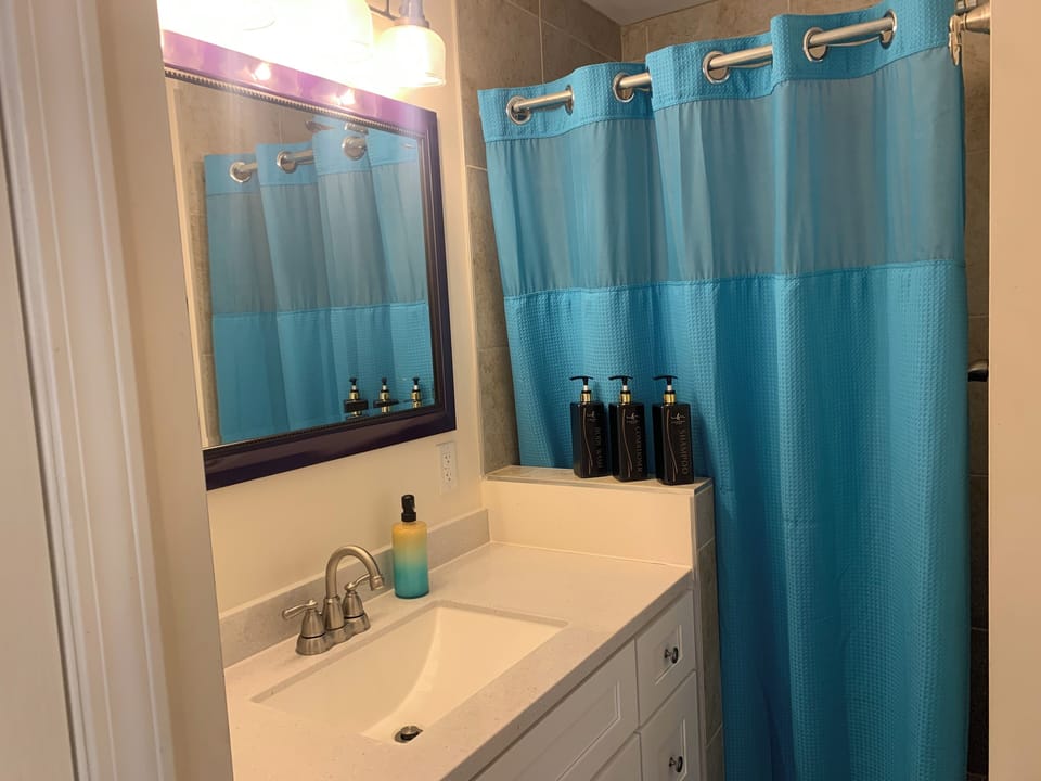 Walk-in shower. Complimentary hair dryer, shampoo, conditioner and body wash