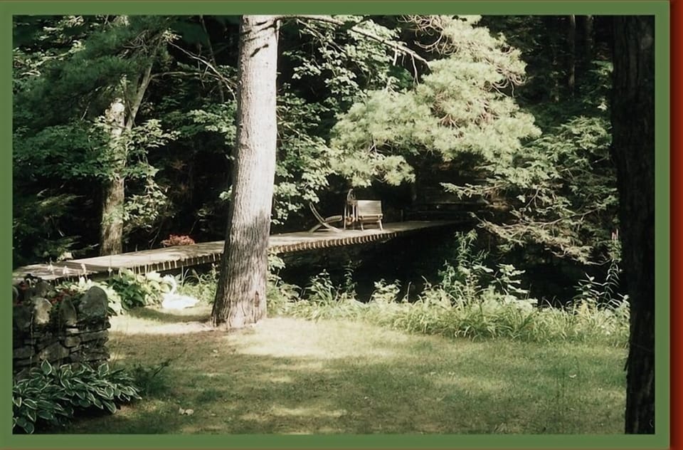 Creek & Bridge
