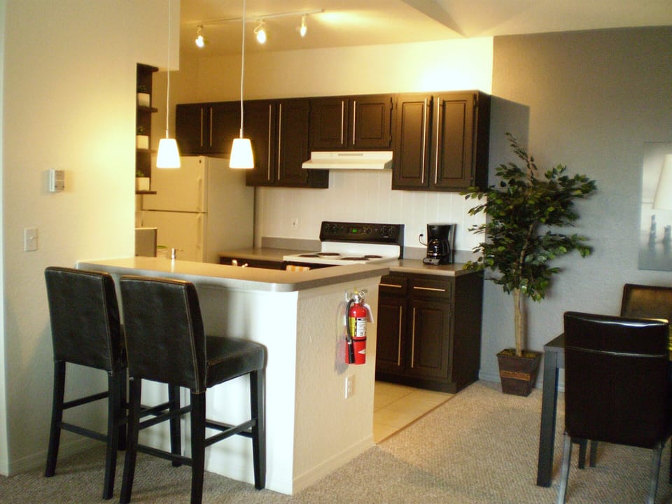 Kitchen & lunch counter