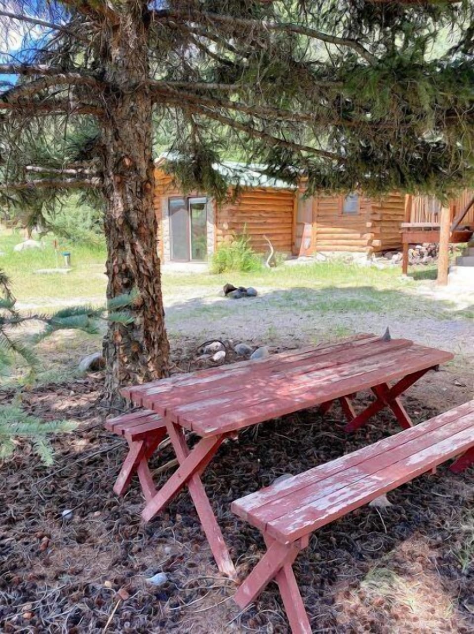 Outdoor picnic seating under the trees.