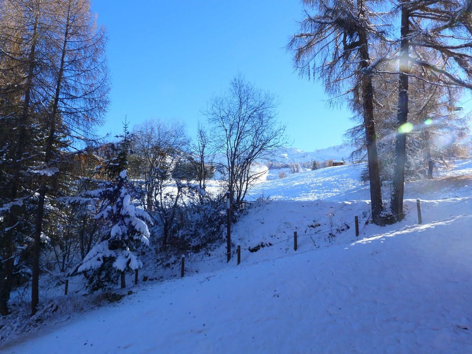 Snow and ski sports
