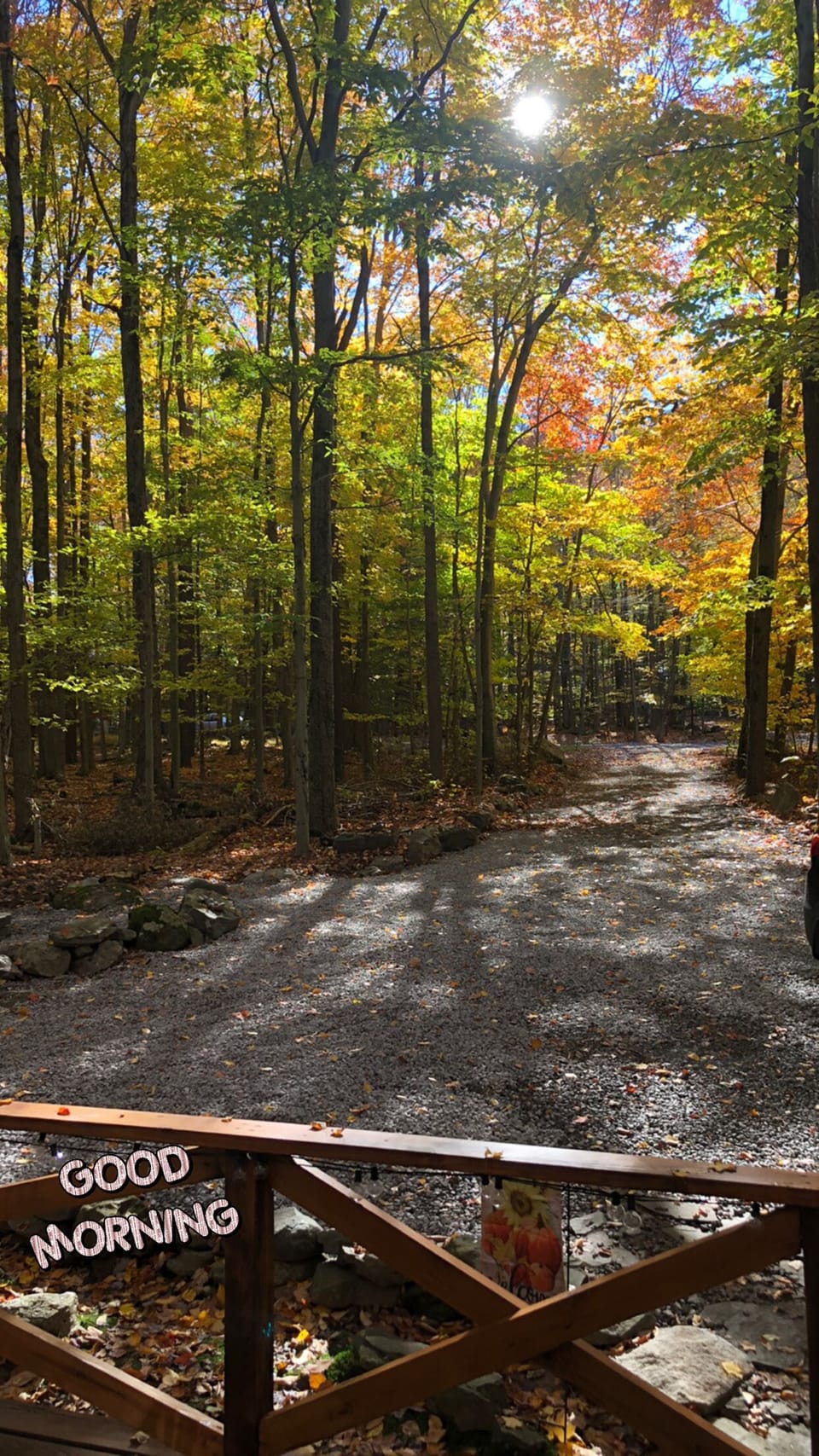 Views from the deck in the fall