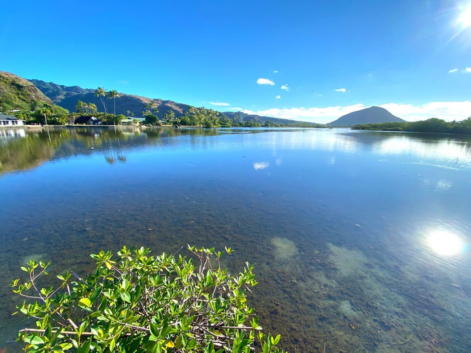 Unobstructed backyard view of Beautiful Paiko Lagoon.