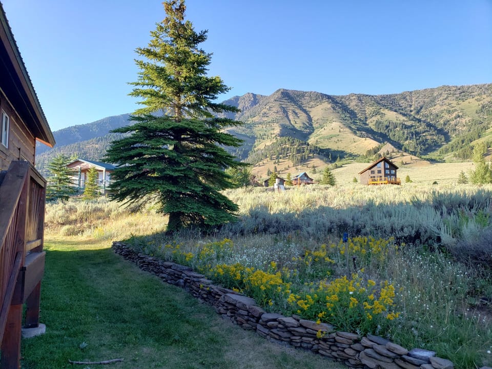 View from backyard