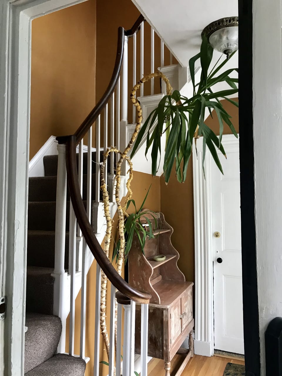 Shared hallway.  Other unit is at the top of the stairs.
