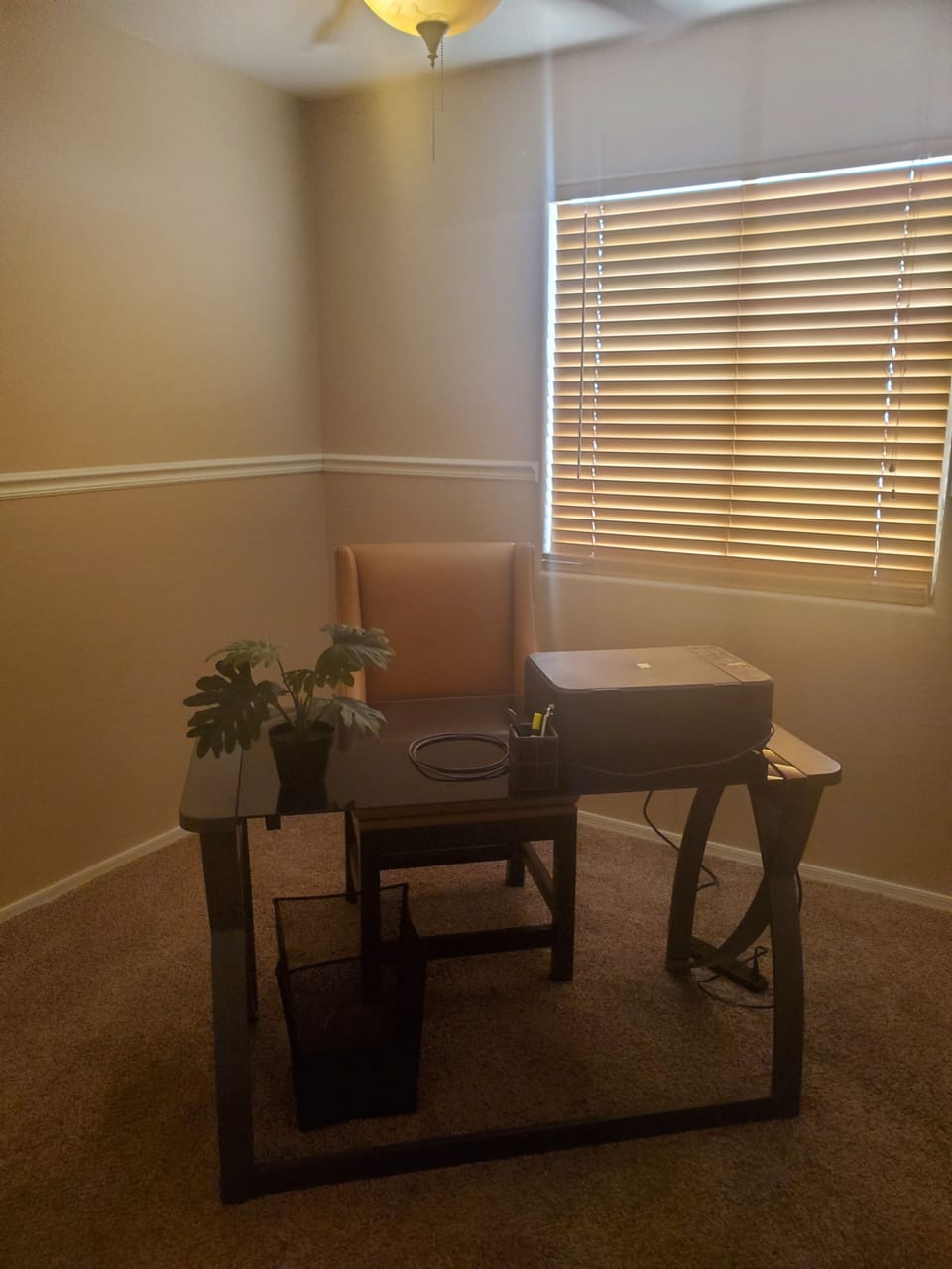Office with printer