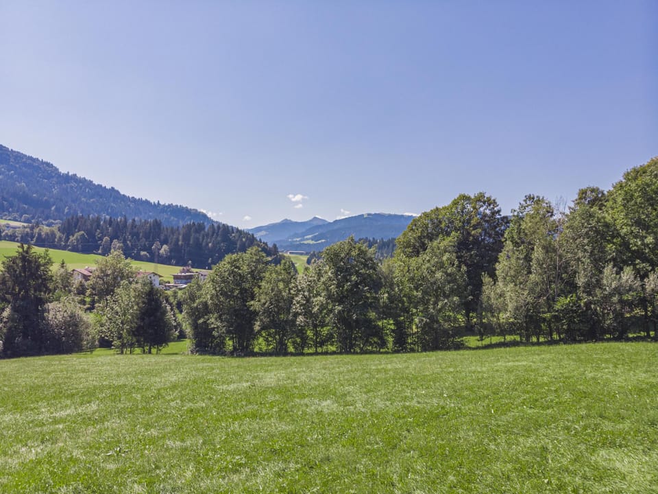 View from Holiday Home [summer]