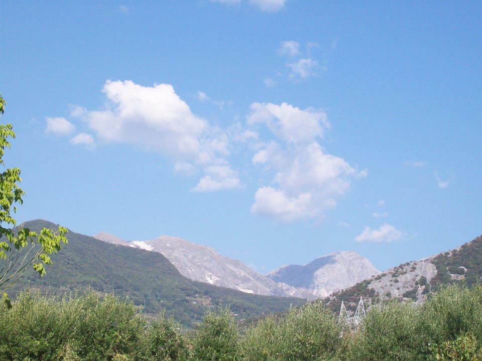 The view form the park