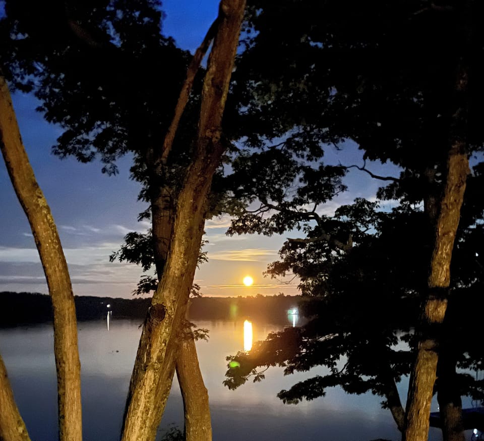 This looks like the sunrise, but is the moon rising! Taken from the fire pit!

