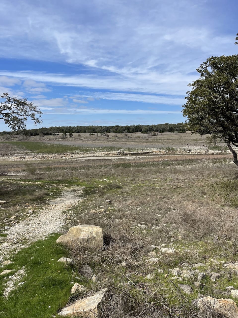 Spring 2024 - Low lake levels are limiting water access from Millie's