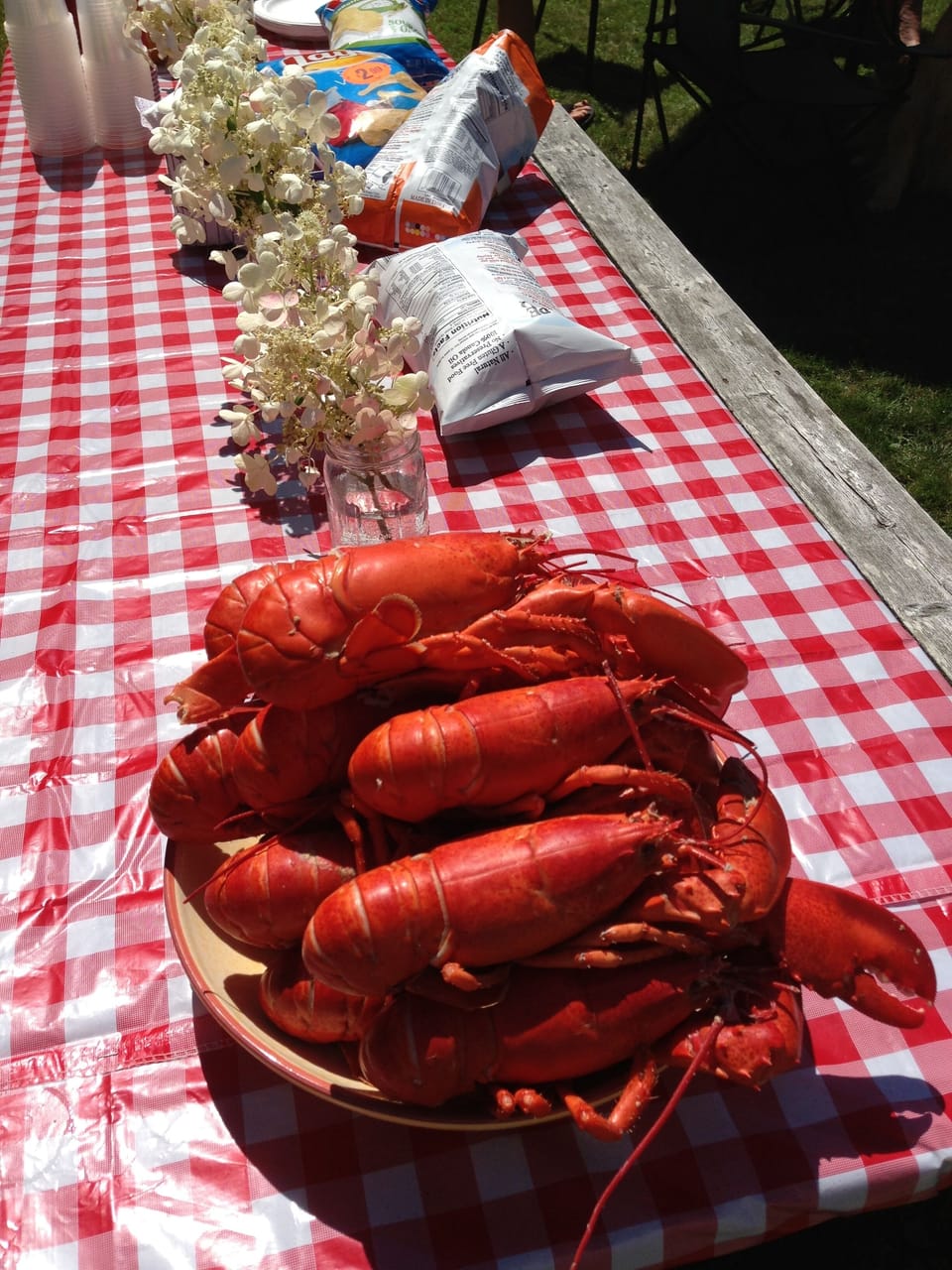 Lobster bake