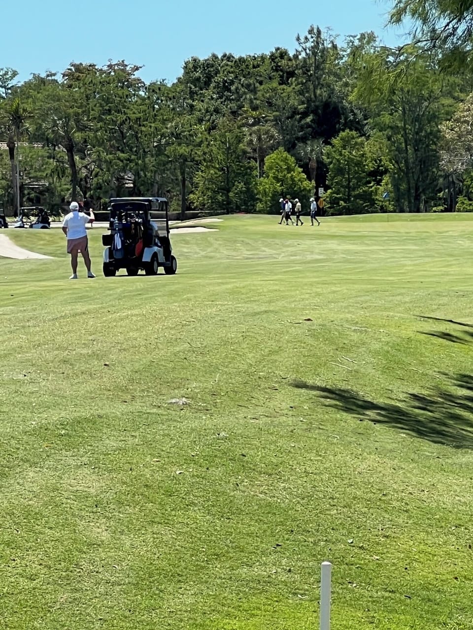 Fairway and Green Views down #9