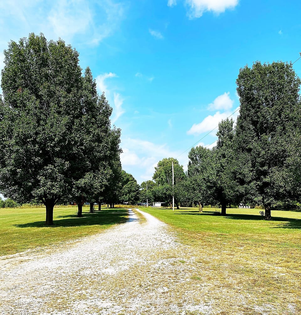 Driveway from the house 