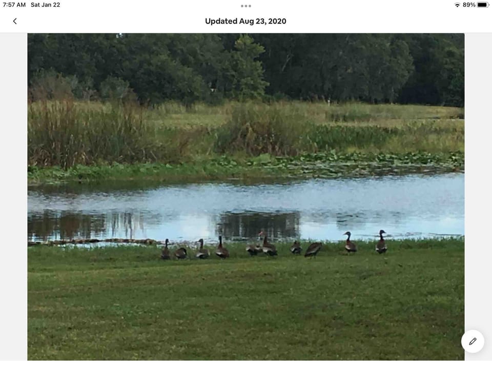 This was your idea you go first lol