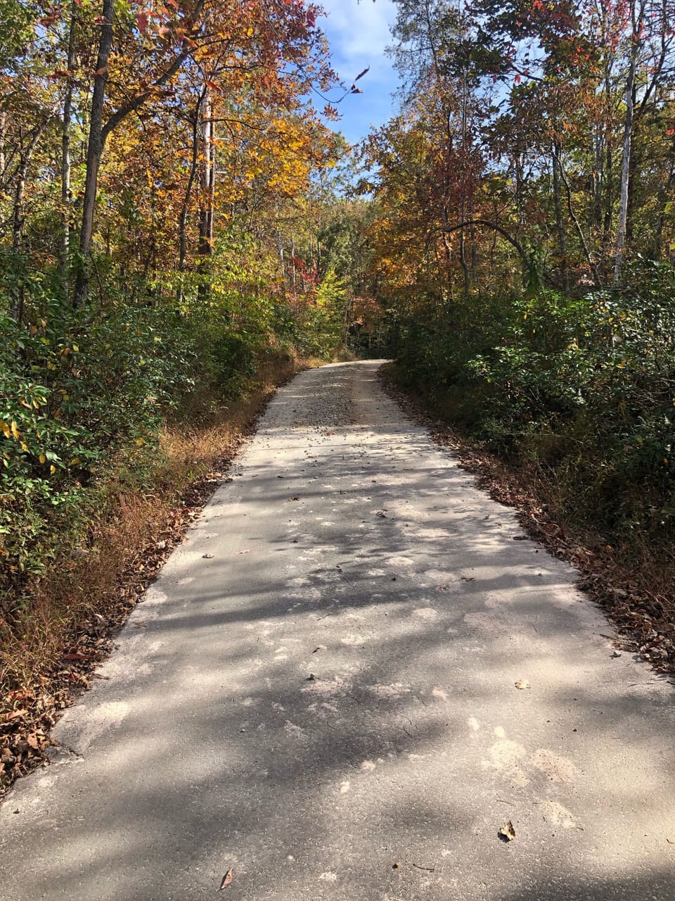 Starts out paved and about 400 ft of unpaved, well maintained road to house. 