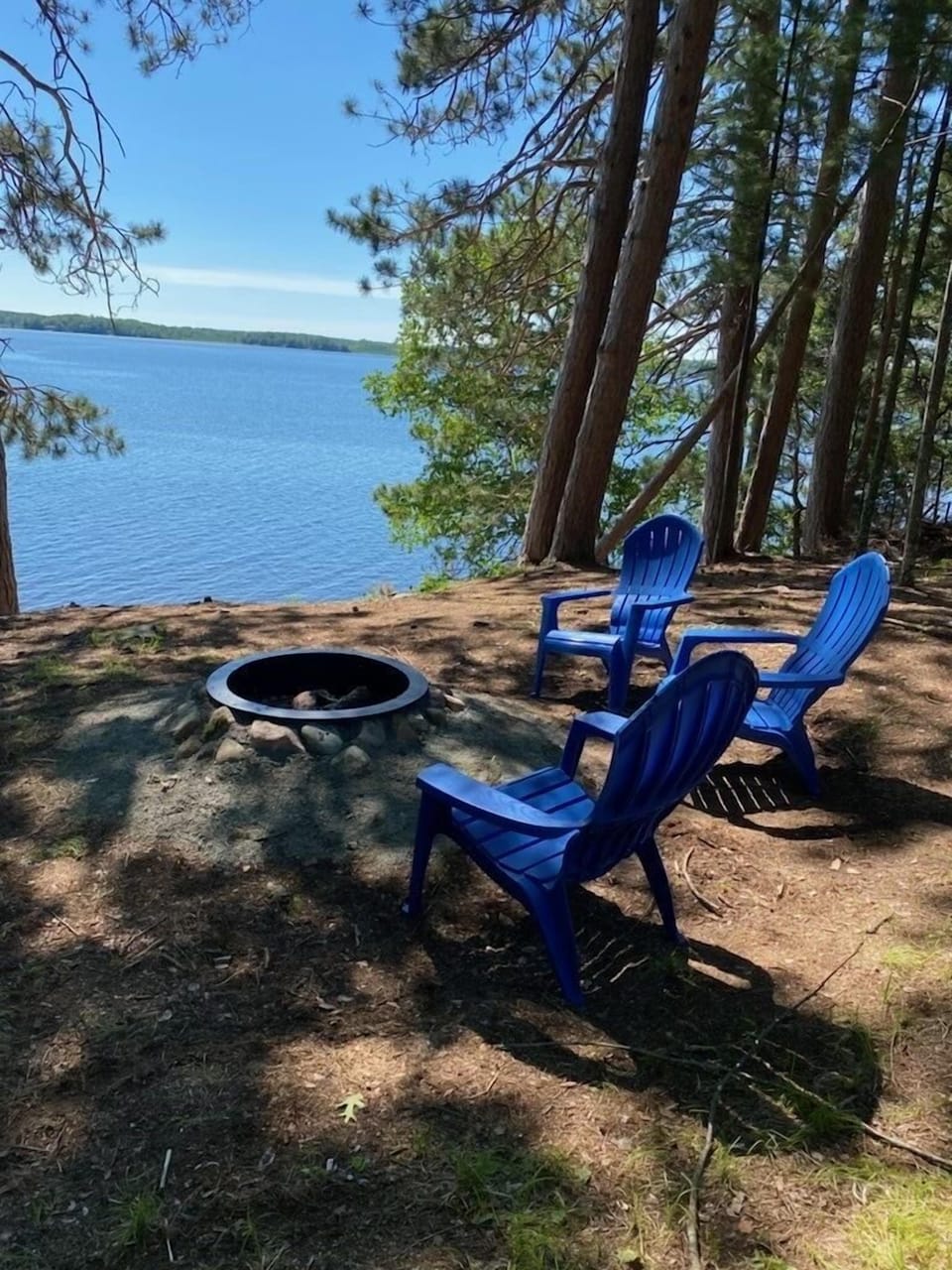 Firepit overlooking the lake