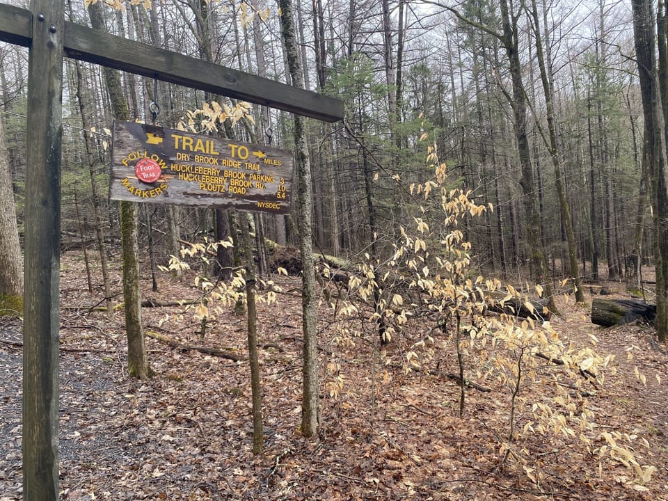 0.3mi from the driveway & you are on state park trailheads. 