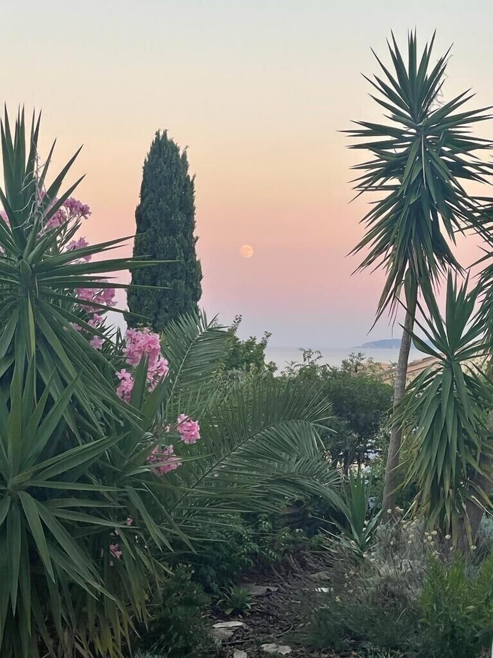 Sundowners on the terrace