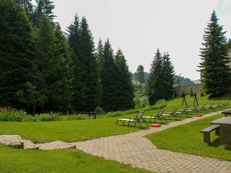 Nature, Tree, Natural Landscape, Grass, Lawn, Biome, Grassland, Hill Station, Evergreen, Meadow