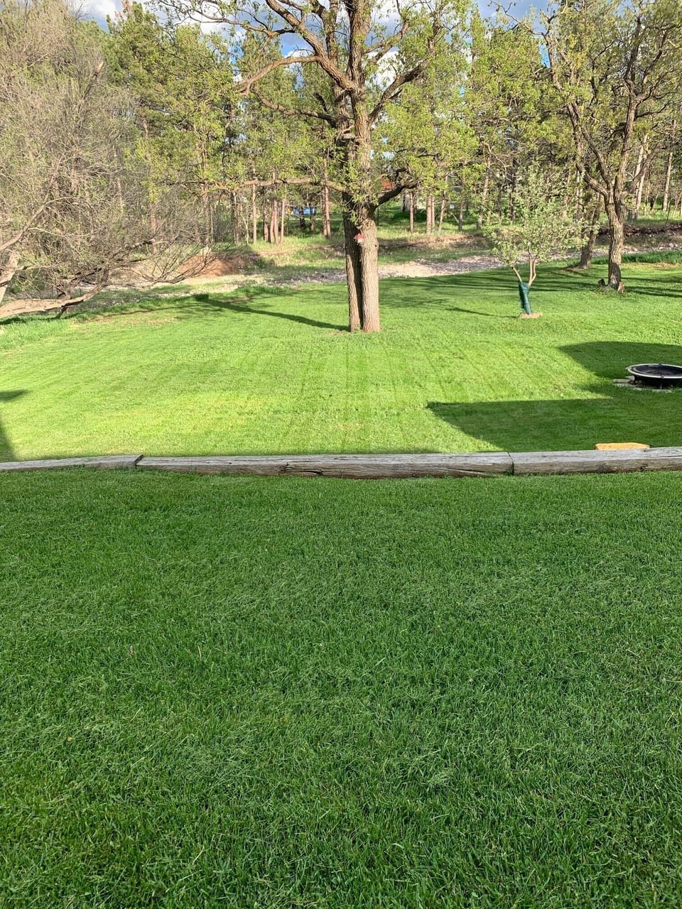 Large back yard
