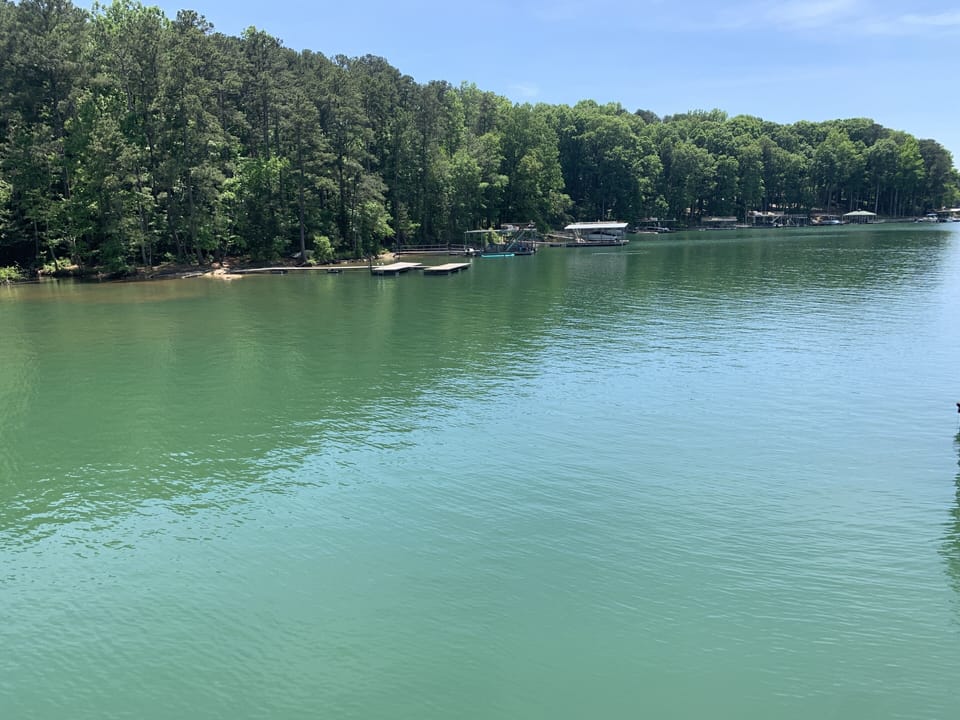 Wide, quiet cove with no wake and deep water all year round!