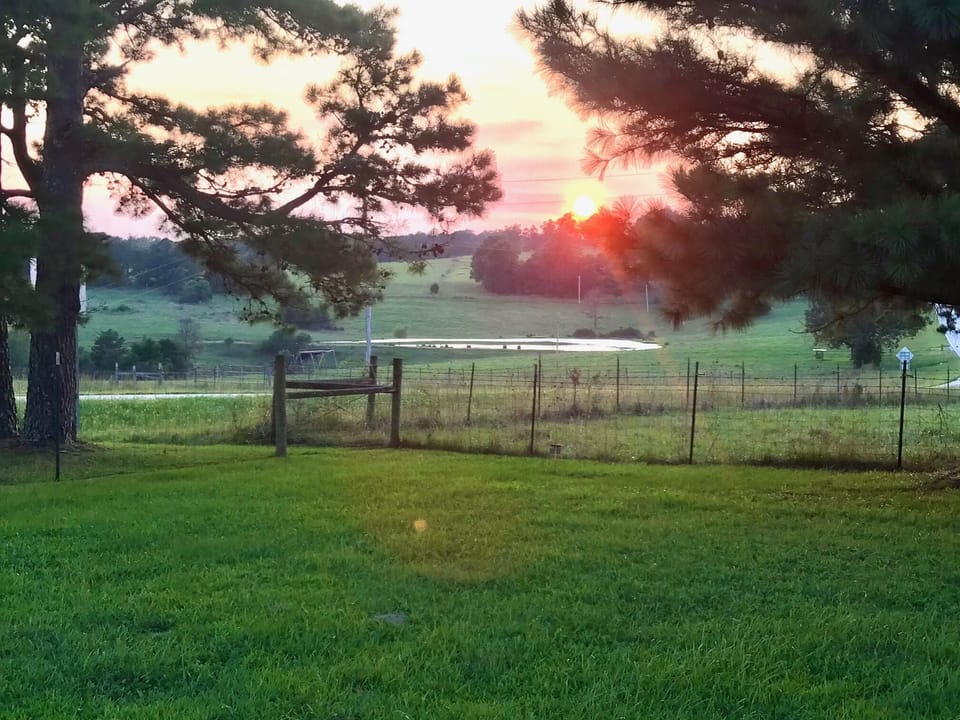 These pictures are taken from the front yard.