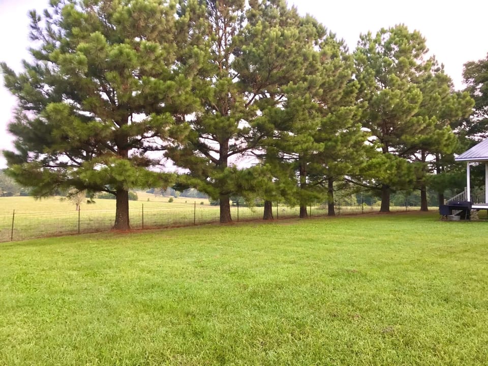 The house is surrounded by 37+ acres of pastureland.