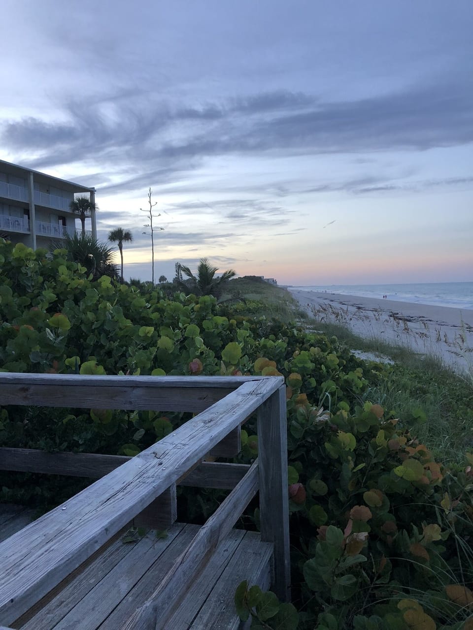 Boardwalk view in front of property
