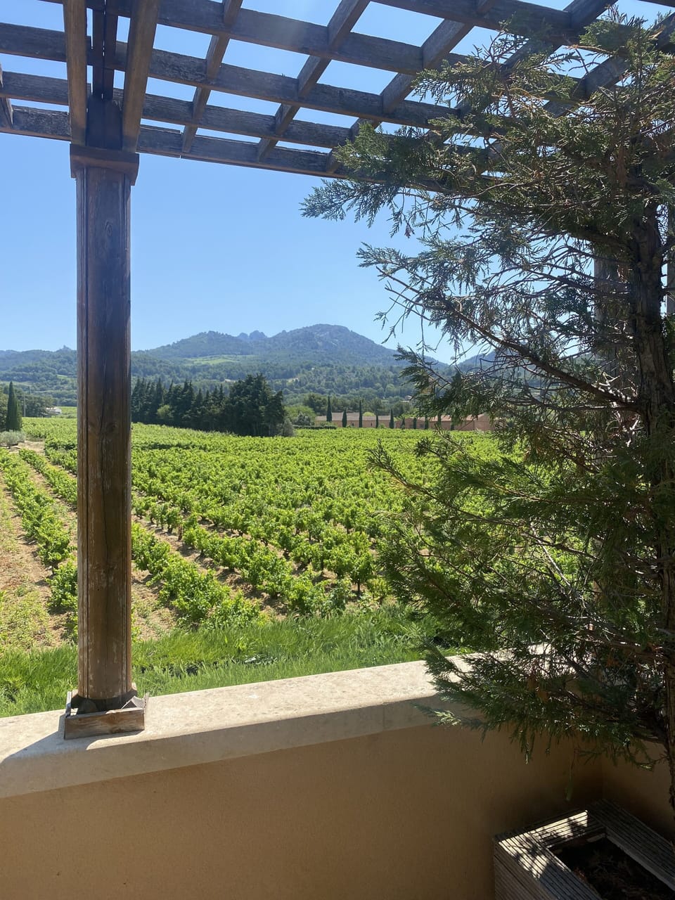 View from property