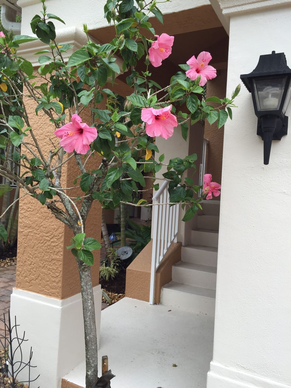 Entrance way