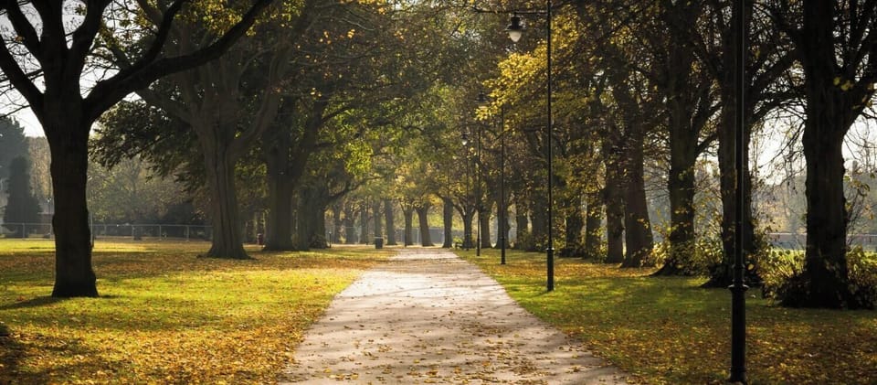 The Racecourse Park