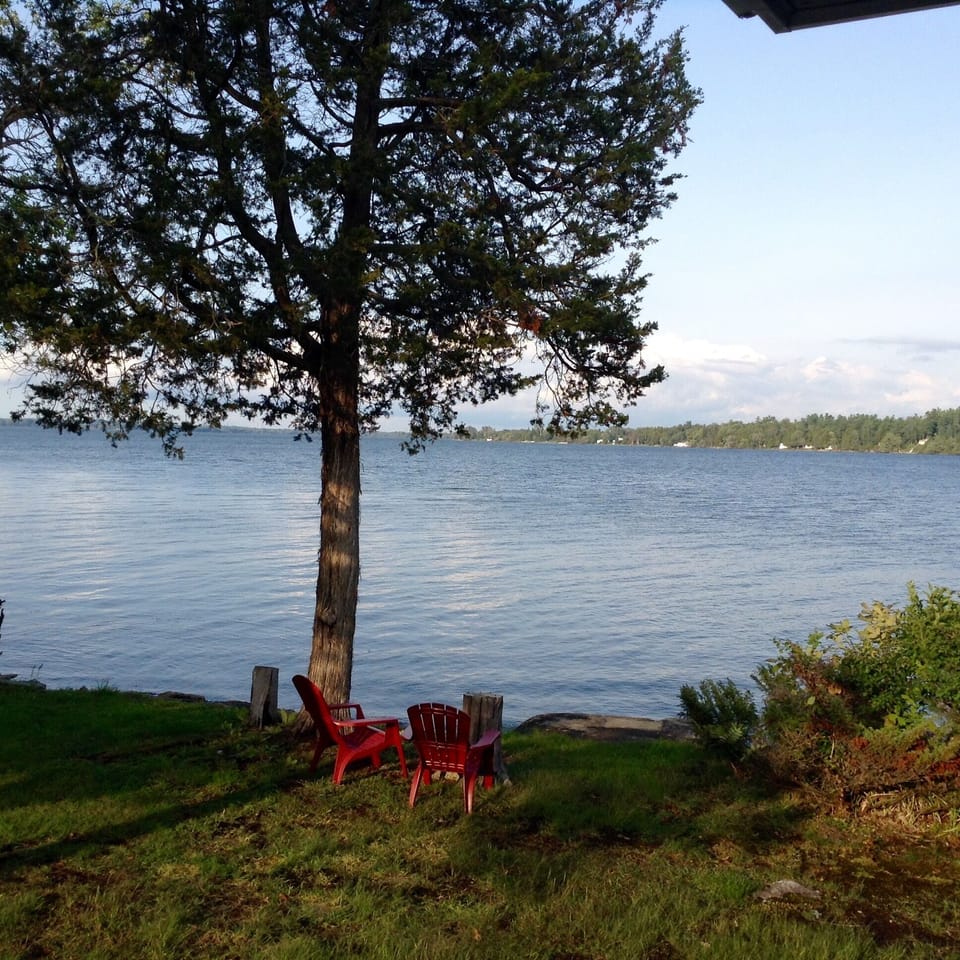 A view from the north bedroom window.