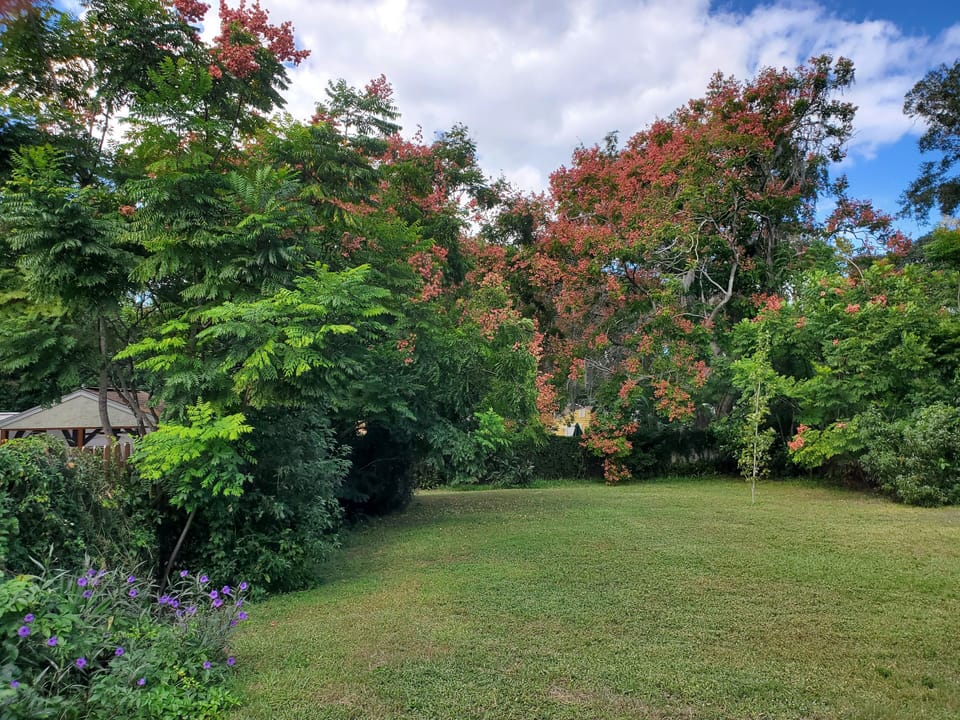 Big Backyard in Mount Dora's Historic District...Bright, Spacious & Private!