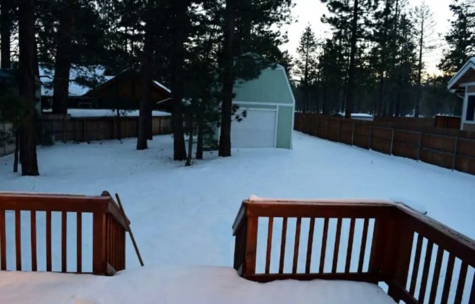 Backyard snowl