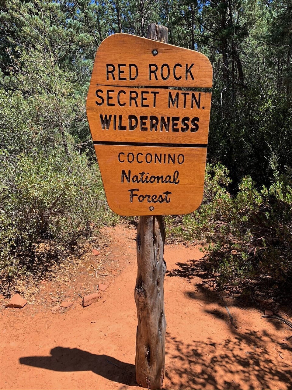 The natural beauty of the Coconino National Forest surrounds you