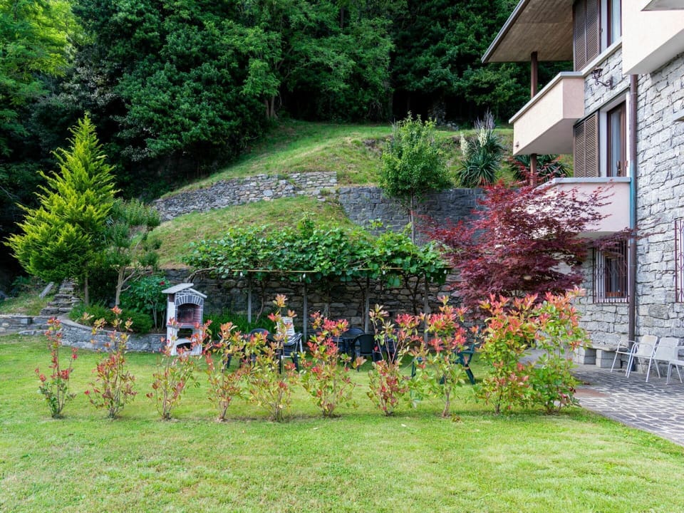 Plant, Window, Plant Community, Building, Flower, Tree, Natural Landscape, Vegetation, Land Lot, Grass
