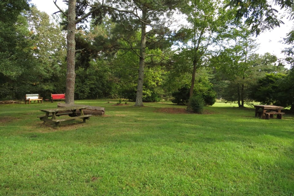 Shaded Backyard with nice Breeze to relax 