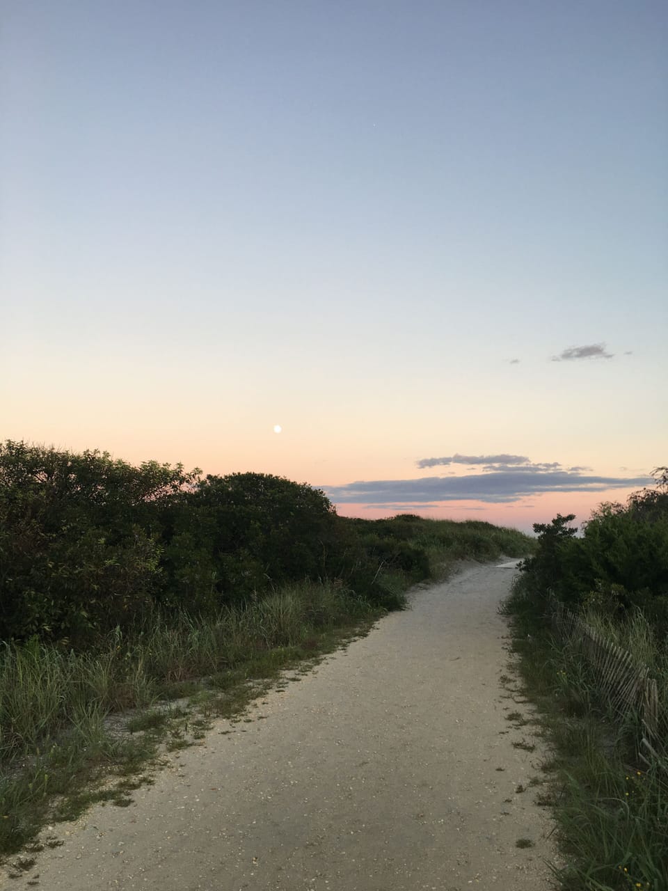 Local beach path