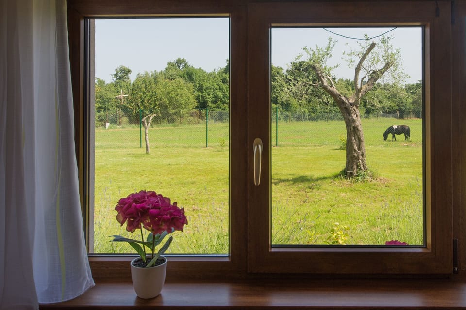 View from house