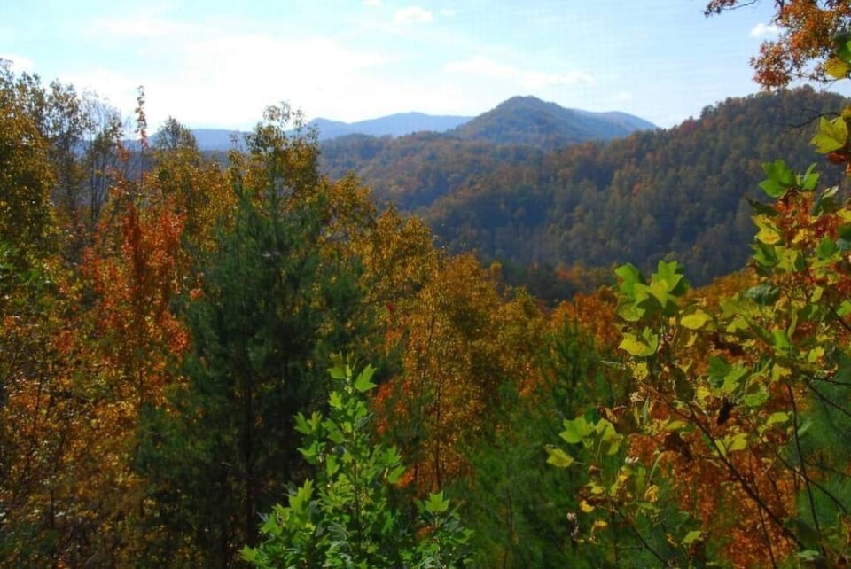 Beautiful Autumn Views from the back deck!