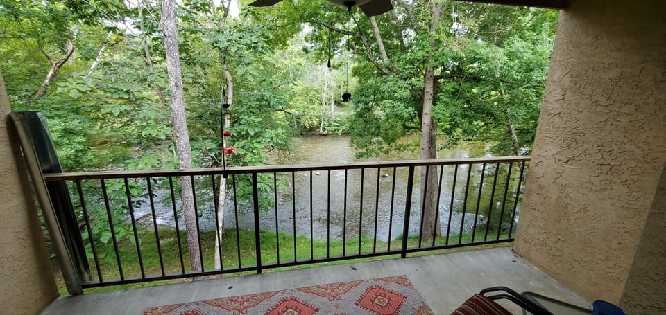 back porch view #2