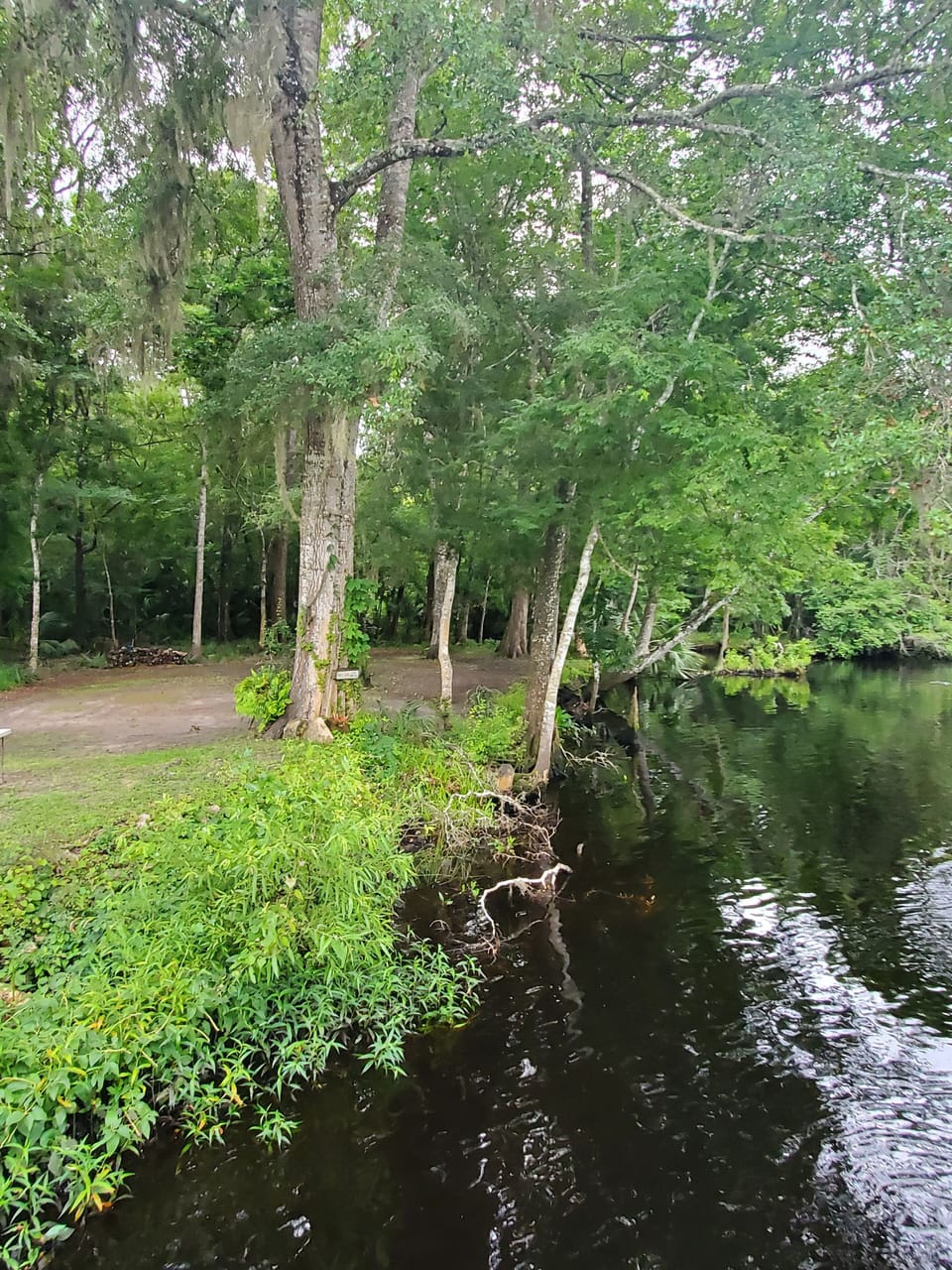 View from south side of cottage.
