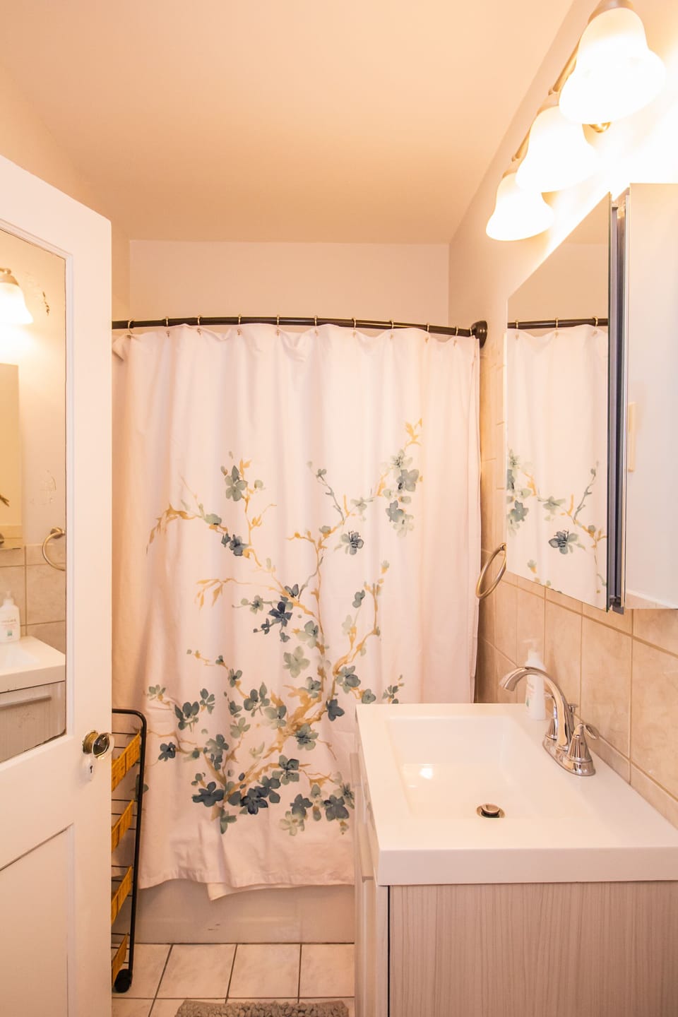 Full shower and tub in bathroom